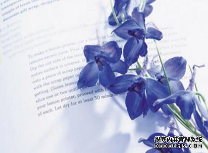 2017年河南省英語專業教材征集前三主編
