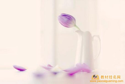 遼寧評副教授對教材要求是什么