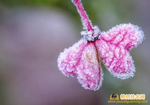 個(gè)人出版教材費(fèi)用是多少