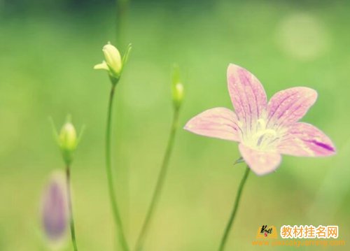 十三五規(guī)劃高校教材轉讓副主編