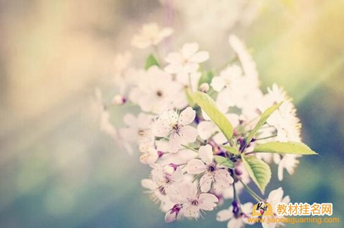 教材出版方式有哪些
