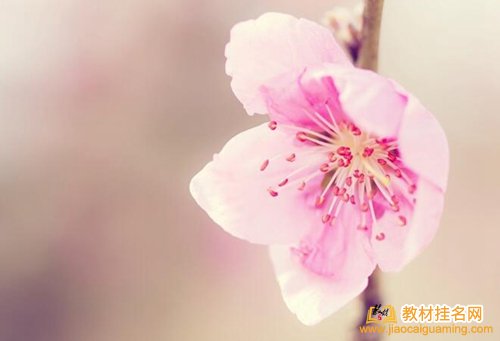 評職稱教材需要申請書號嗎