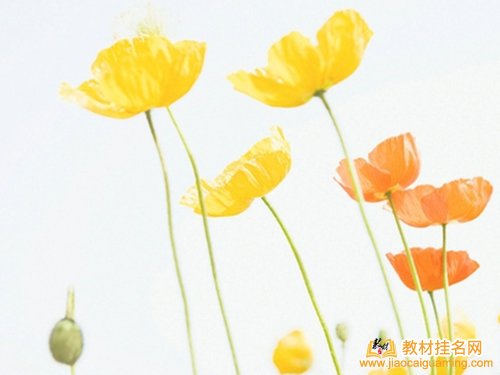 省級規劃教材參編一二主編