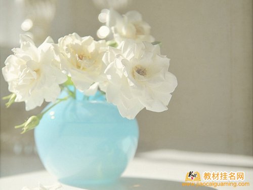 高校評(píng)職稱教材各作者的字?jǐn)?shù)如何認(rèn)定