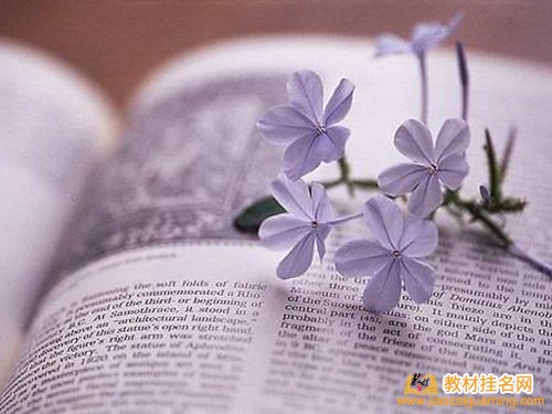 內部教材不用書號可以出版嗎