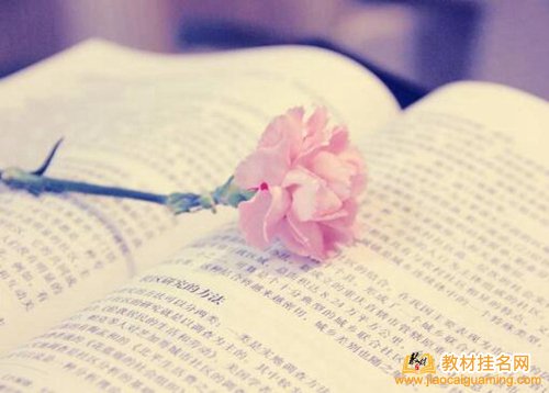 什么人有資格自編教材