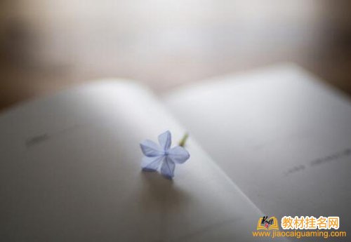 規劃教材副主編多少錢
