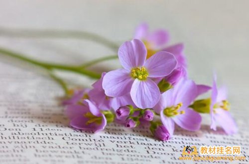 編寫教材的主審很重要嗎?