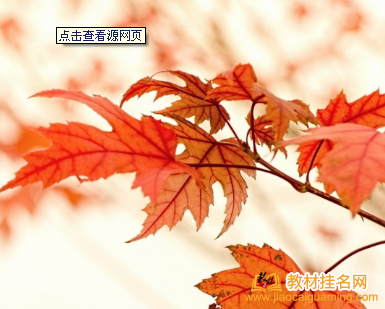 教材