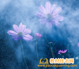 教材
