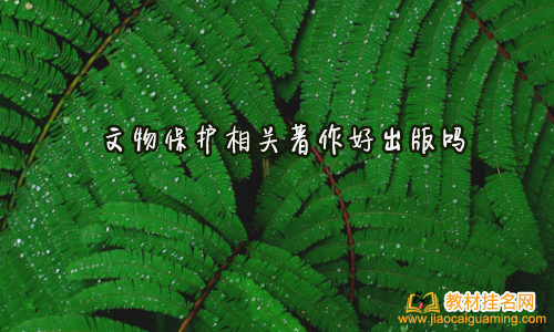 文物保護相關著作好出版嗎
