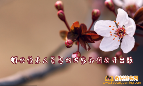 孵化技術人員寫的內容如何公開出版
